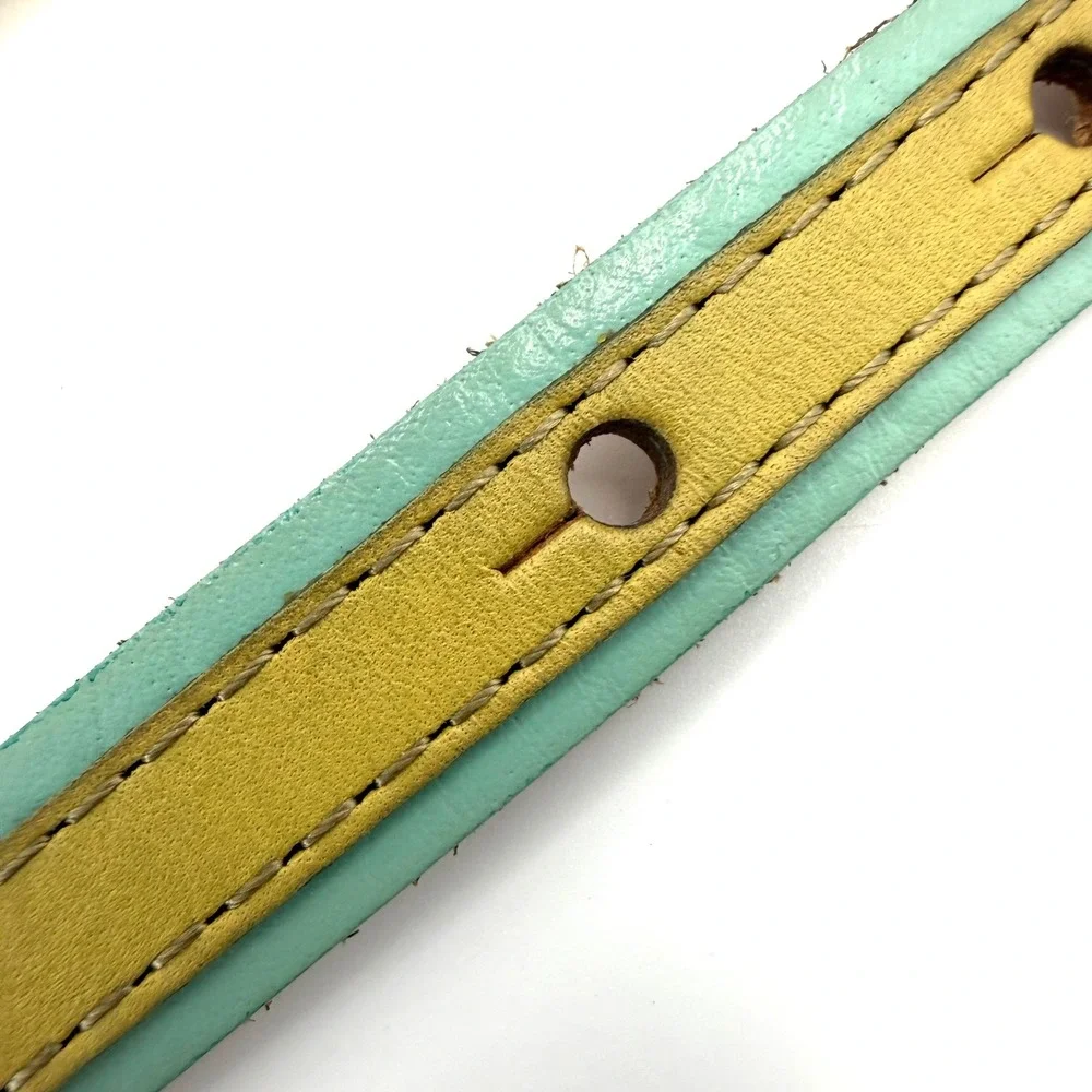 Vintage Skinny Leather Bow Belt Mint Green Yellow Twee Pastel Slim Waist Belt